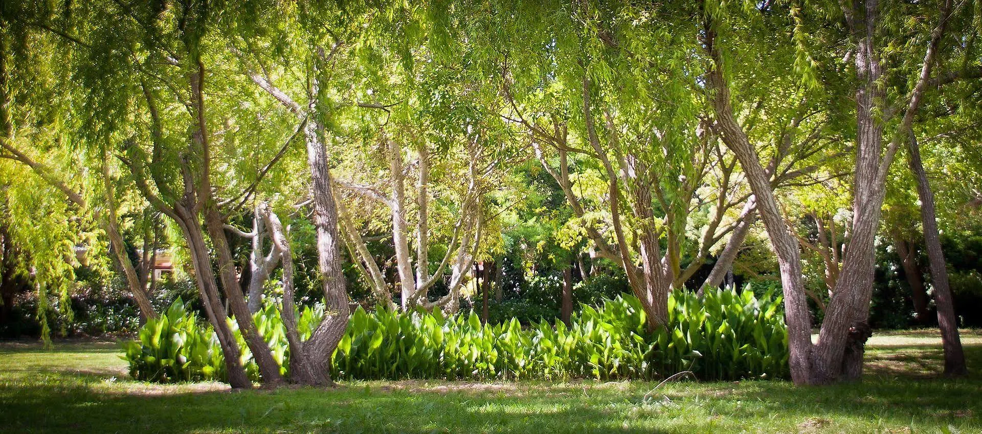 Willowbrook Country House Ciudad del Cabo
